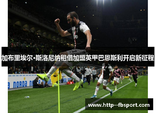 加布里埃尔·斯洛尼纳租借加盟英甲巴恩斯利开启新征程